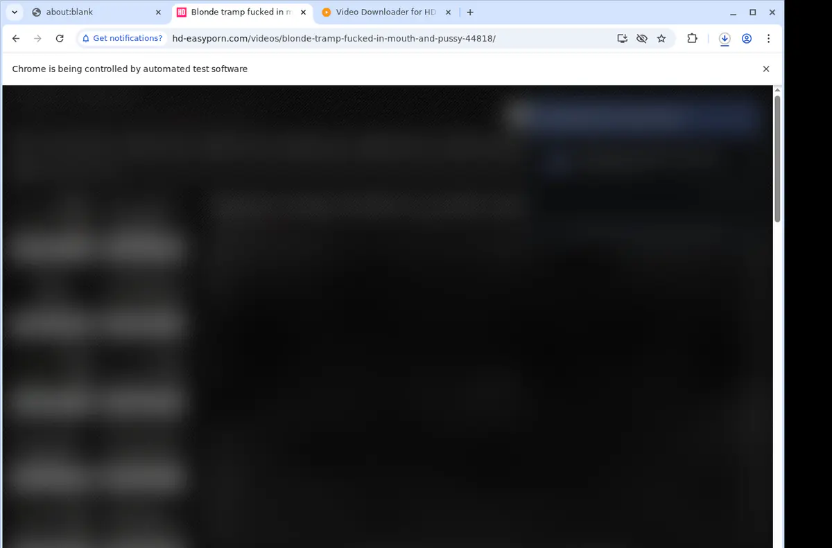 Hdeasyporn Video Downloader screenshot 2