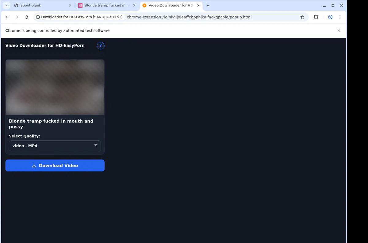 Hdeasyporn Video Downloader screenshot 4
